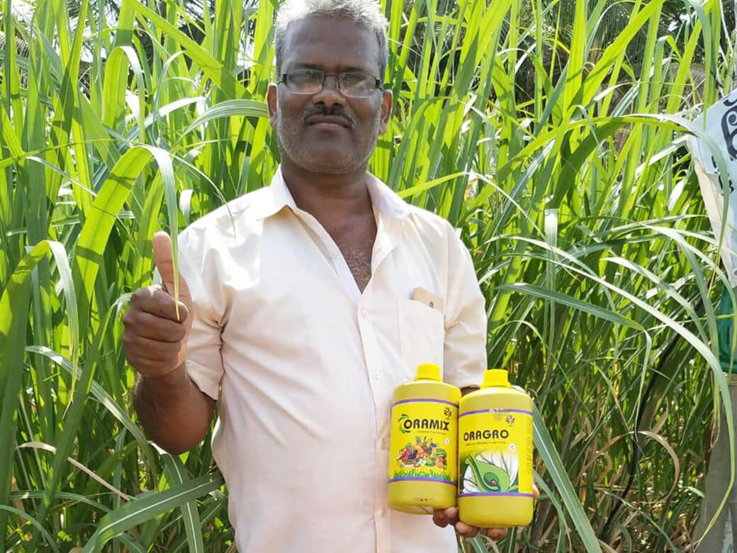 Orabio office, Orabio clients