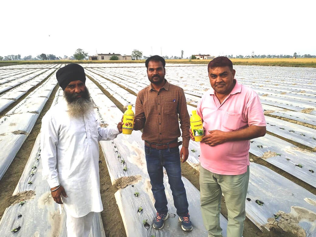 Orabio office, Orabio clients