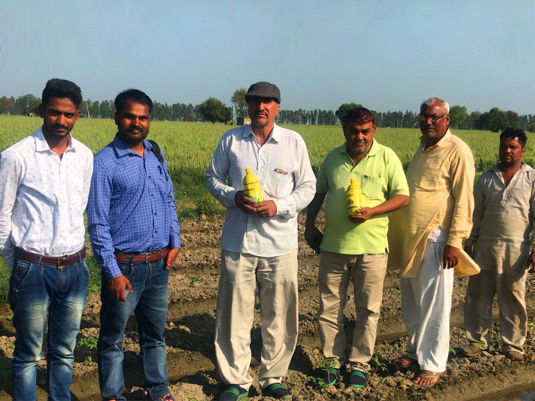 Orabio office, Orabio clients