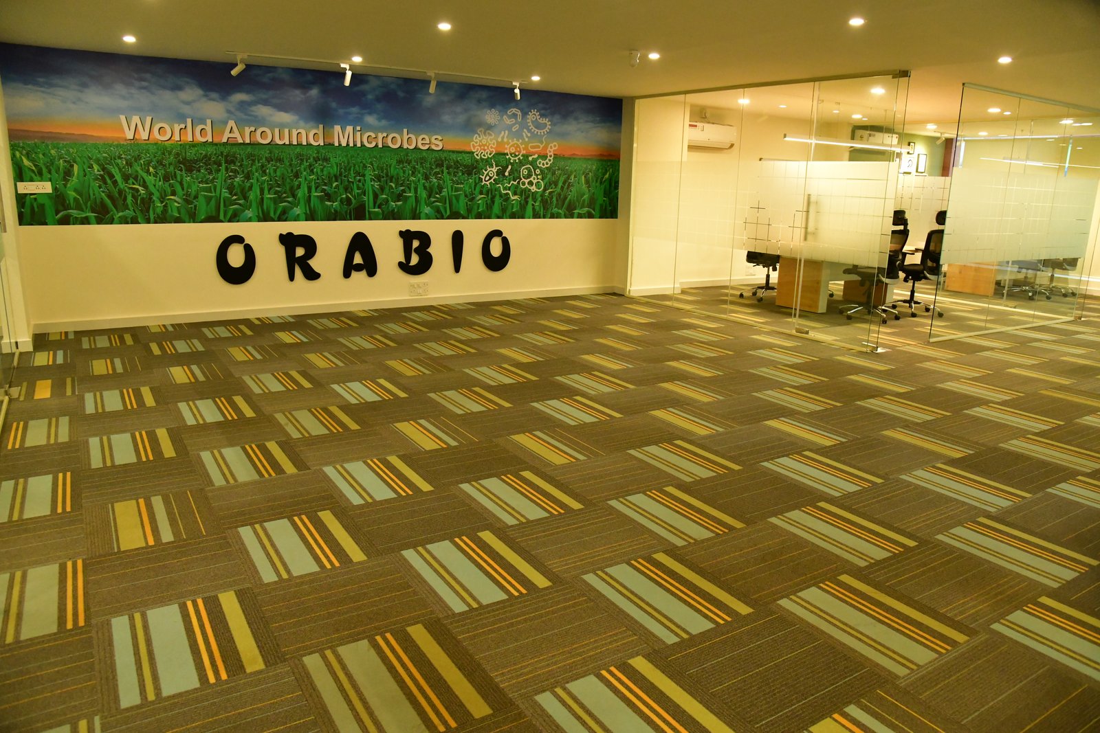 Orabio office, Orabio clients